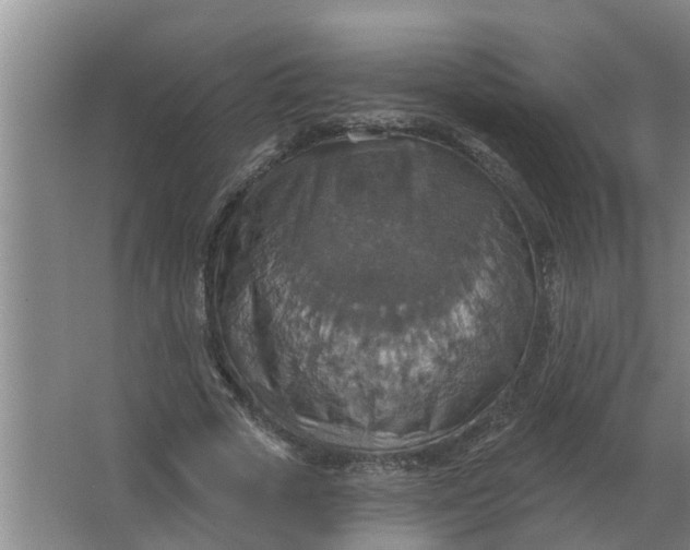 X0000063510729200602032042