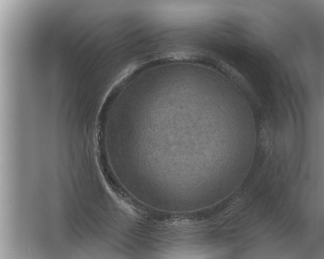 X0000063510730200602032043