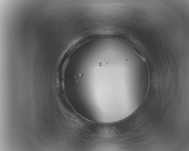 X0000063510731200602032043