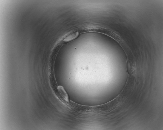 X0000063510732200602032043