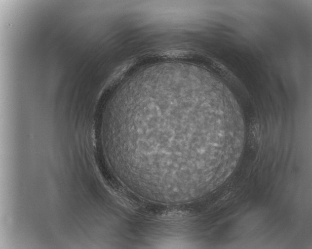 X0000063510734200602032043