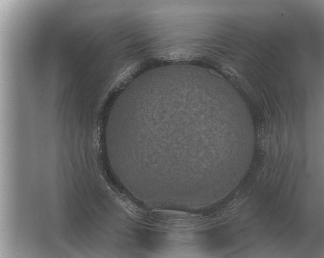 X0000063510735200602032043