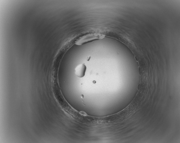 X0000063510736200602032043