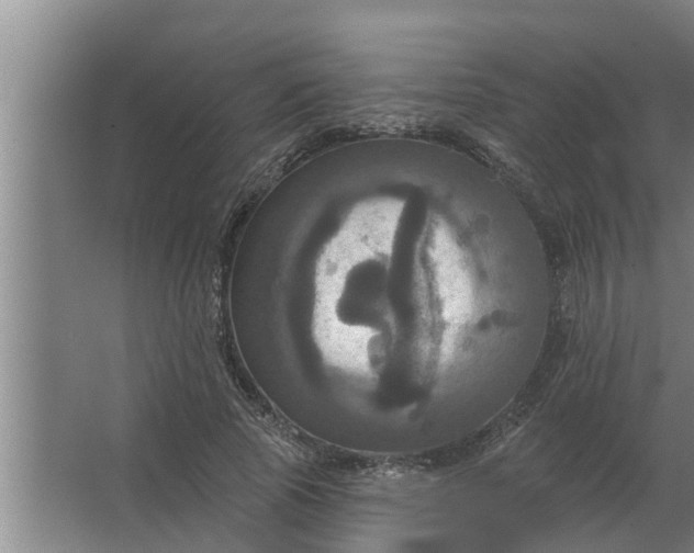 X0000063510737200602032043