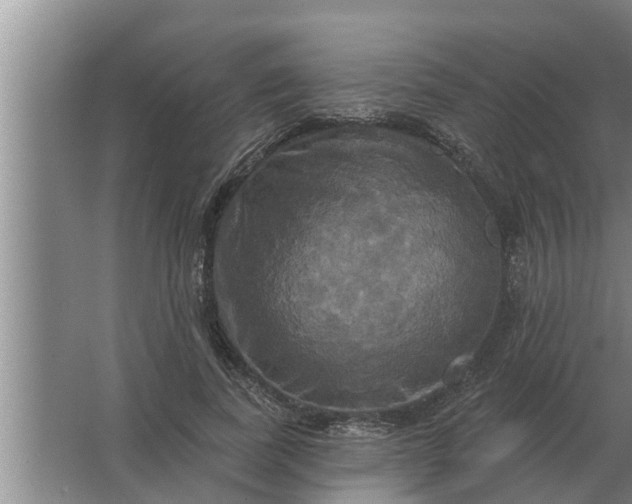 X0000063510739200602032043