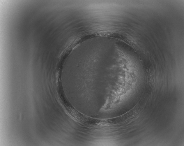 X0000063510742200602032043