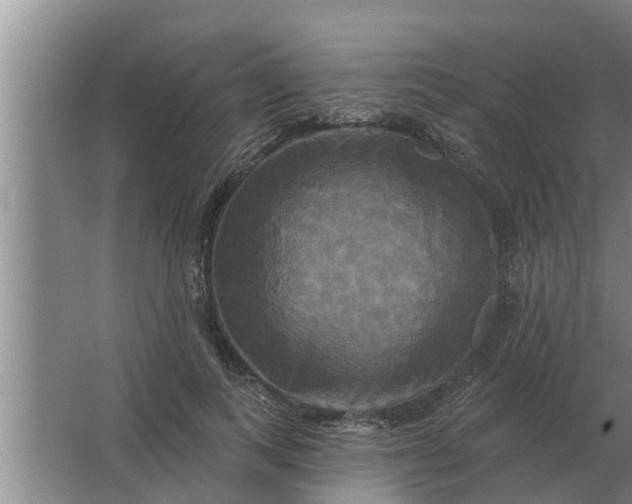 X0000063510743200602032043