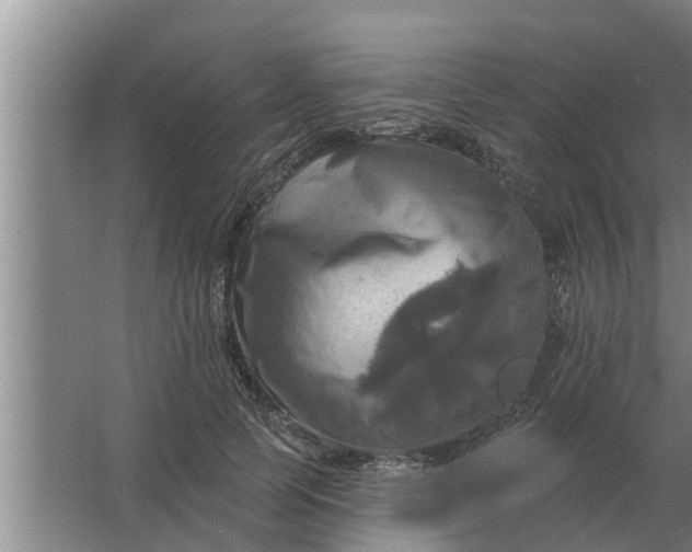 X0000063510745200602032043