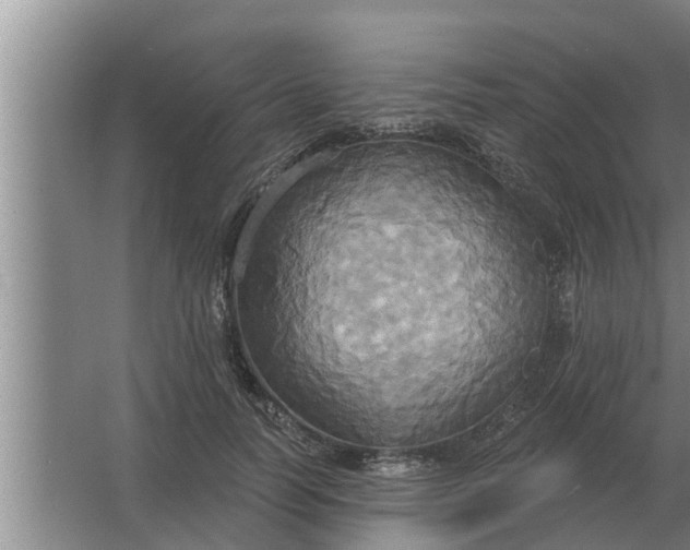 X0000063510746200602032043