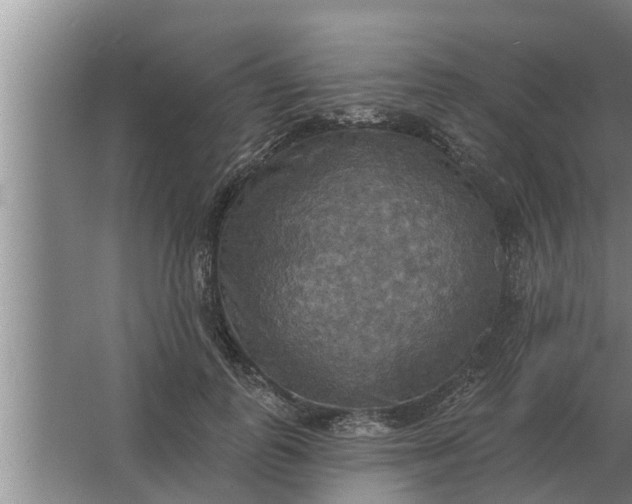 X0000063510747200602032043