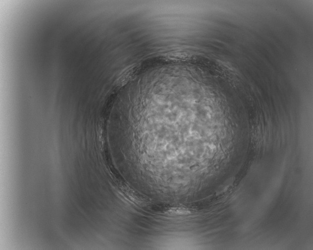 X0000063510749200602032043