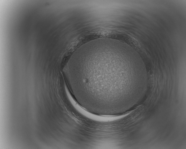 X0000063510750200602032043