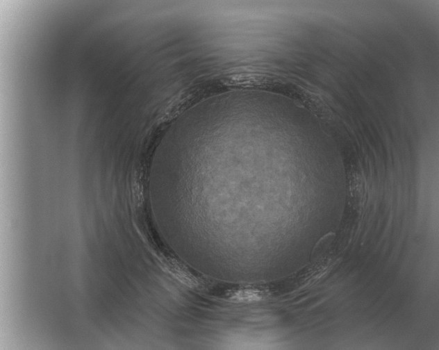 X0000063510751200602032043