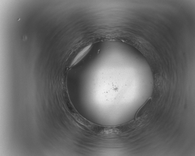 X0000063510752200602032043