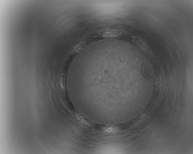 X0000063510755200602032043