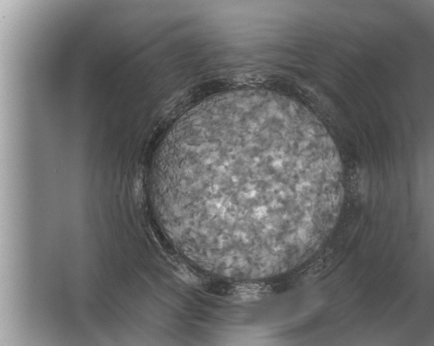 X0000063510757200602032043