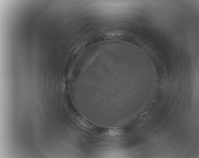 X0000063510758200602032043