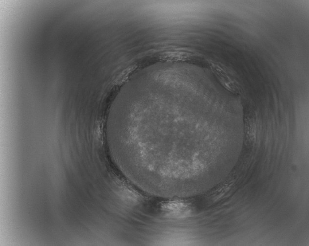 X0000063510759200602032043