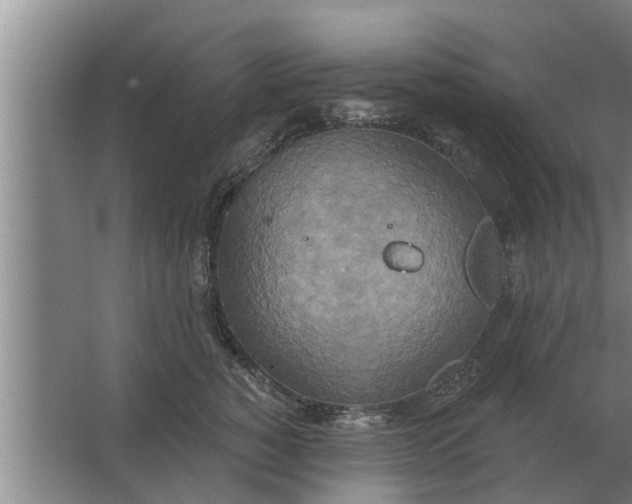 X0000063510760200602032043