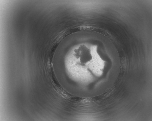 X0000063510761200602032043