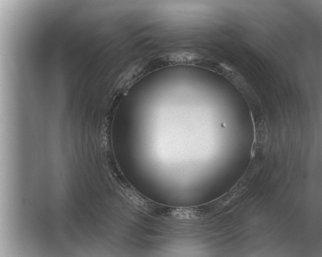 X0000063510762200602032043