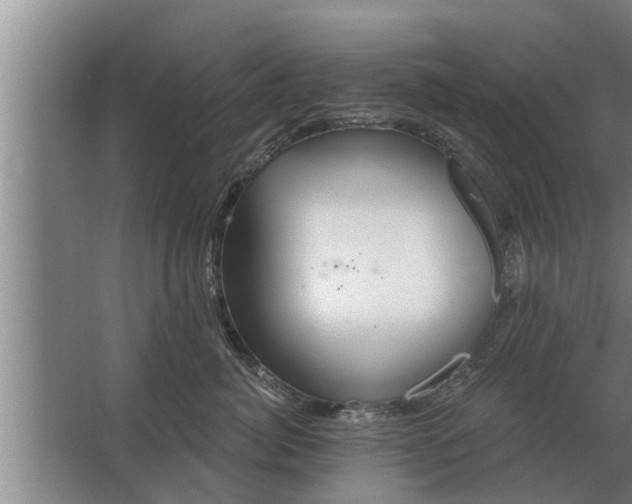 X0000063510764200602032043