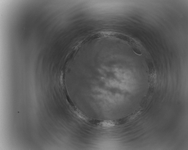 X0000063510765200602032043