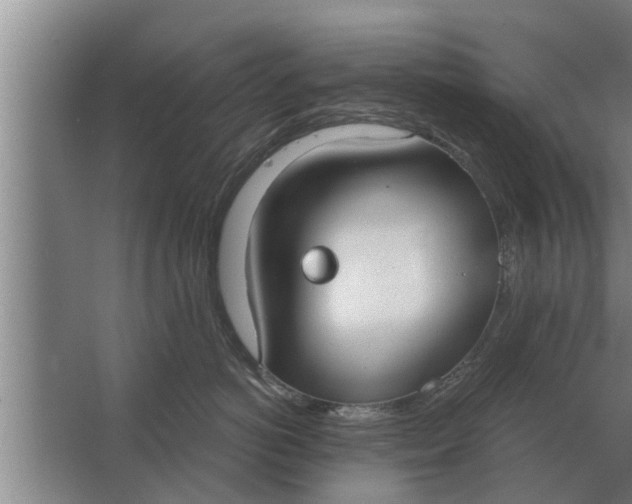 X0000063510766200602032043