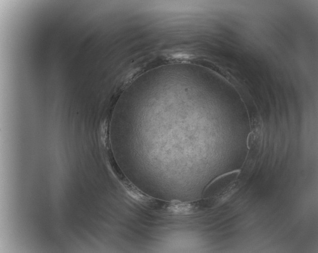 X0000063510767200602032043