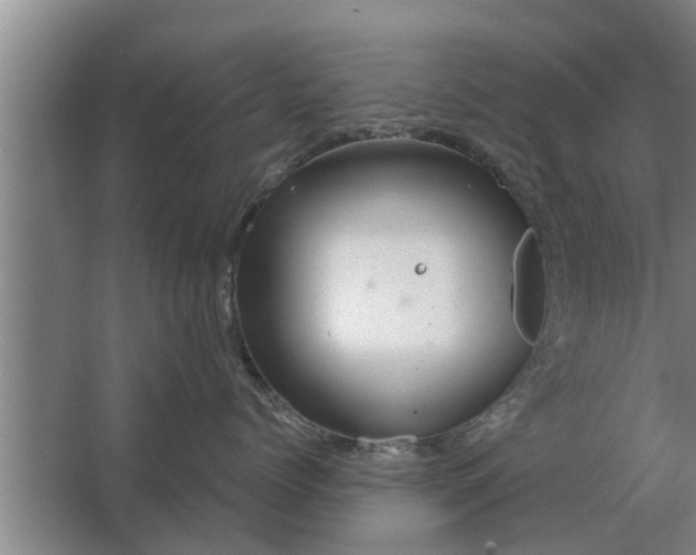 X0000063510768200602032043