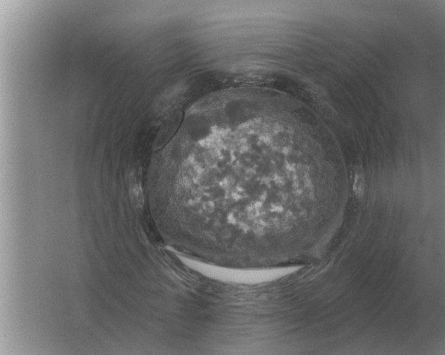 X0000063510771200602032042