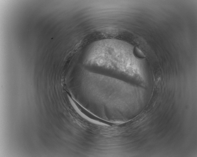 X0000063510772200602032042