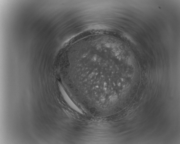 X0000063510775200602032042