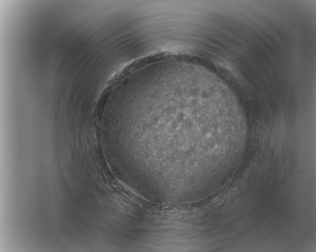 X0000063510776200602032042