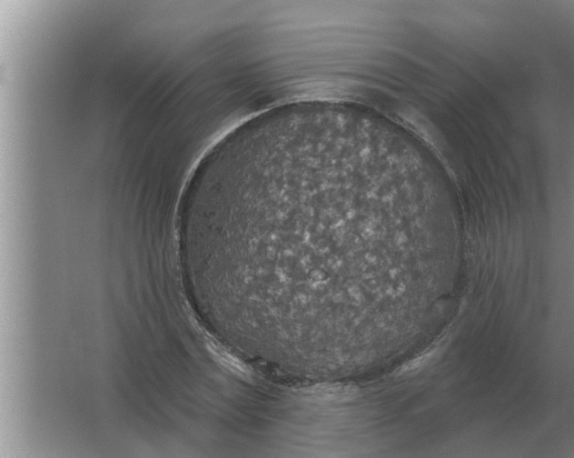 X0000063510779200602032042