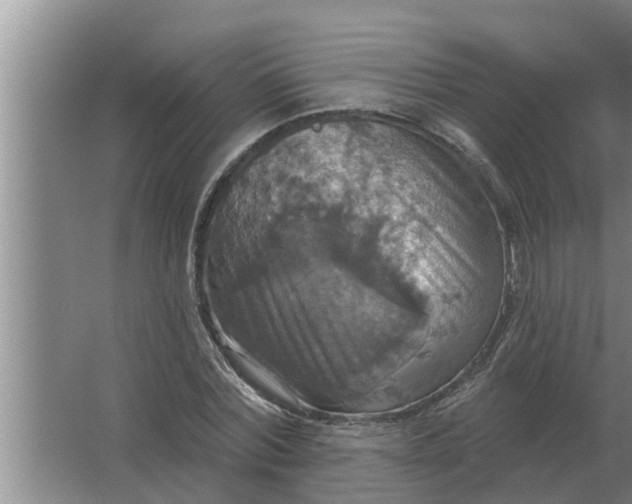 X0000063510780200602032042