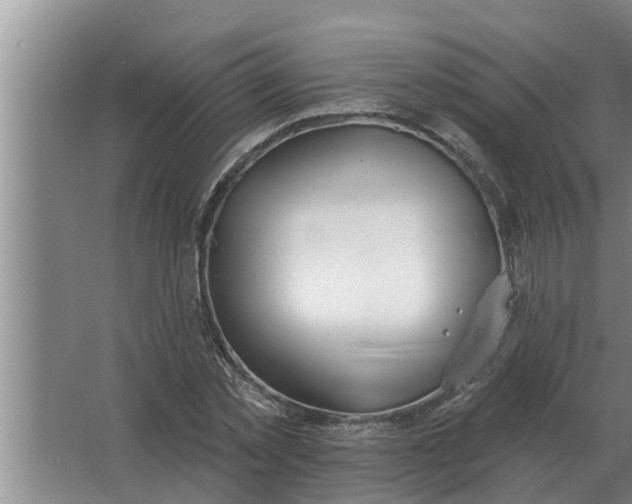 X0000063510781200602032042