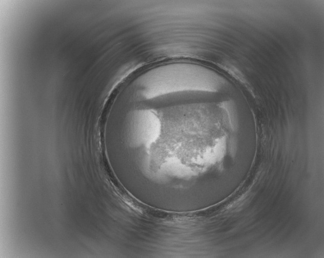 X0000063510782200602032042