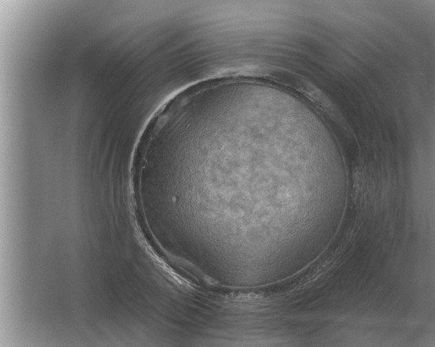 X0000063510784200602032042