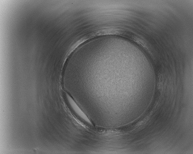 X0000063510786200602032042