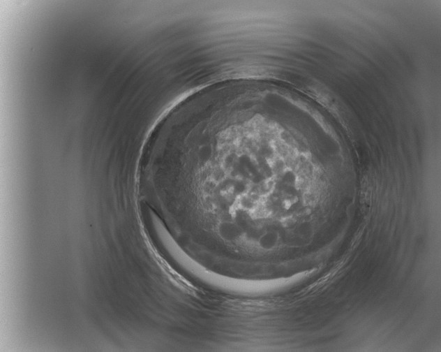 X0000063510787200602032042