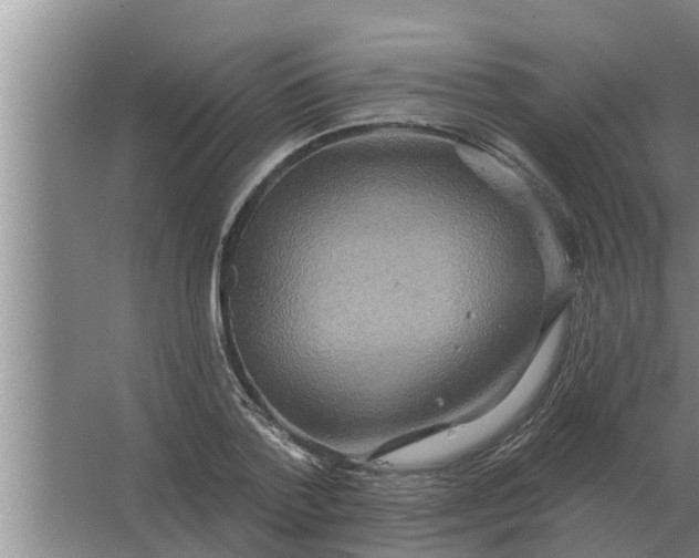 X0000063510788200602032042