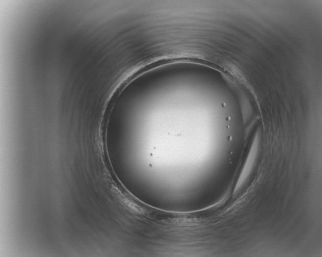 X0000063510789200602032042