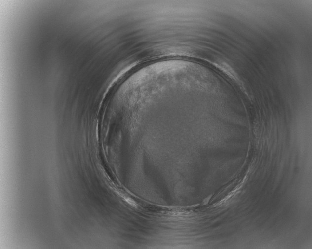 X0000063510790200602032042