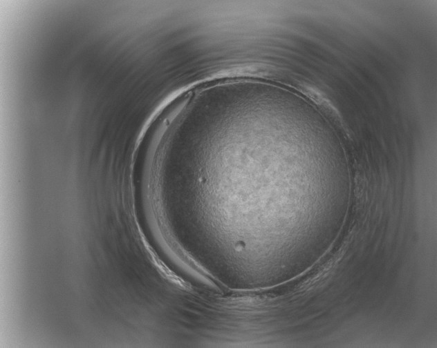 X0000063510792200602032042