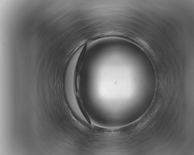 X0000063510793200602032042