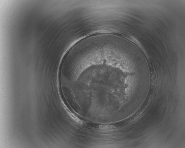 X0000063510795200602032042