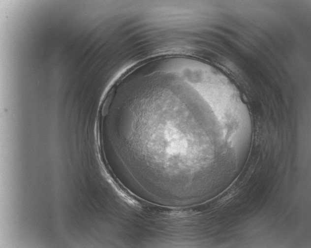 X0000063510796200602032042