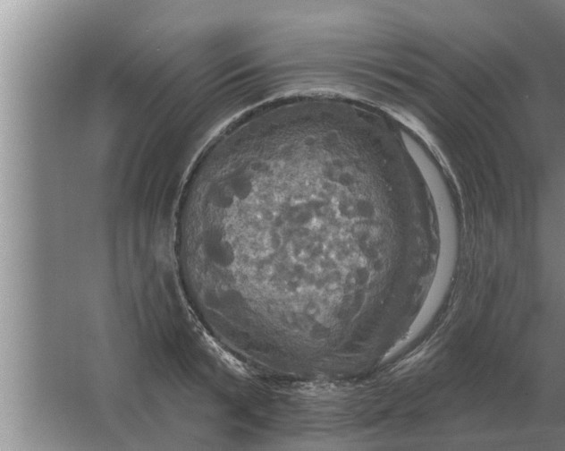 X0000063510799200602032042