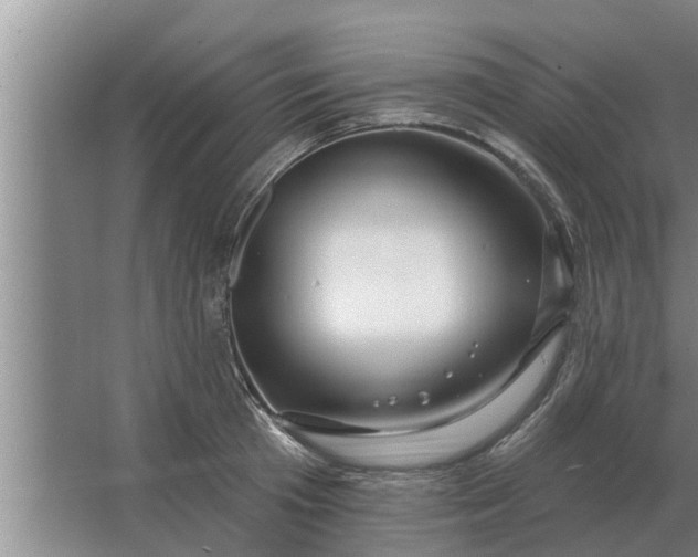 X0000063510801200602032042